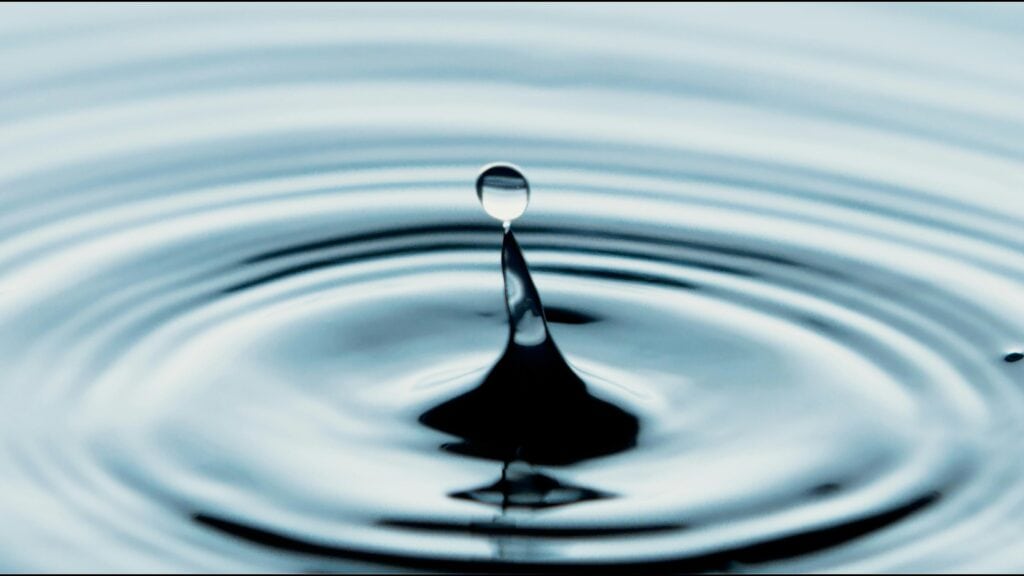 Aufnahme von Wasser.