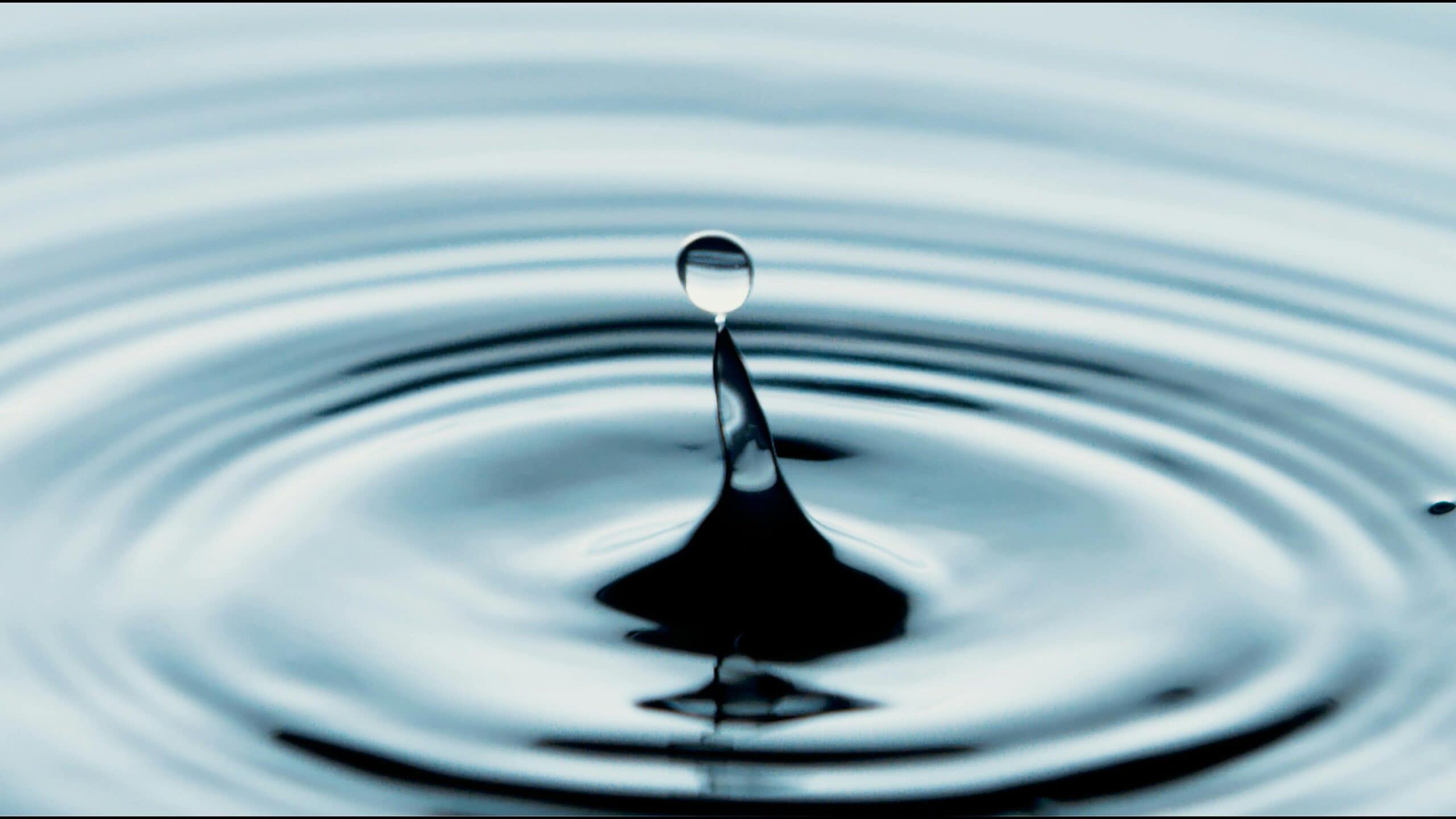 Aufnahme von Wasser.